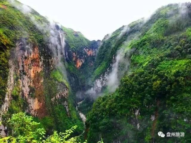 天谕手游